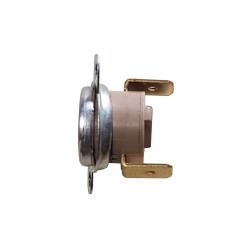 THERMOSTAT 294270